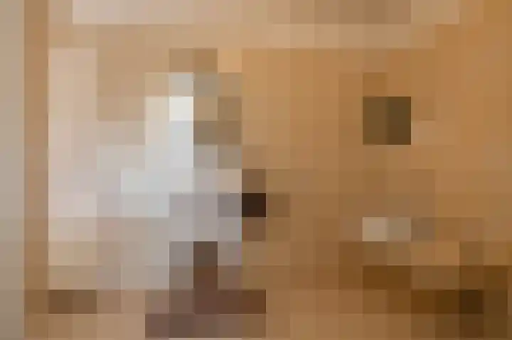 Nesciolaan 122 Haren Gn thumbnail 42