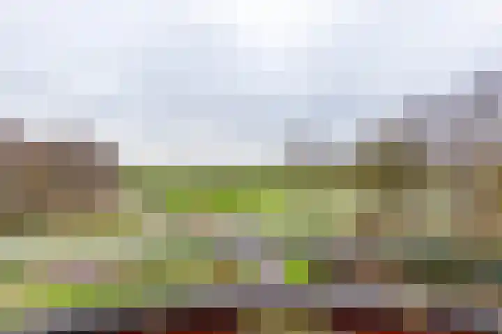 Nesciolaan 122 Haren Gn thumbnail 48