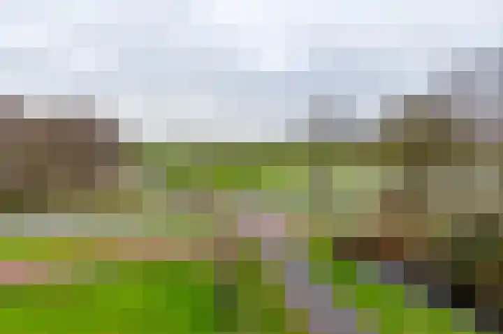 Nesciolaan 122 Haren Gn thumbnail 54