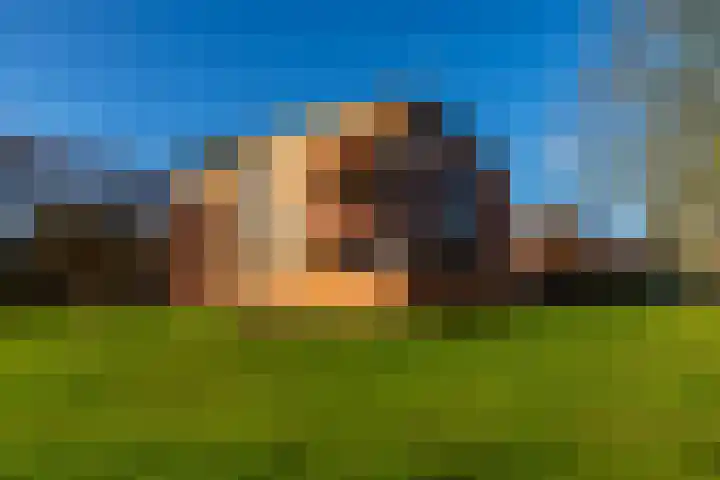 Nesciolaan 122 Haren Gn thumbnail 7