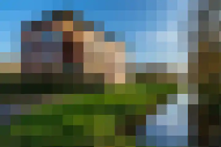 Nesciolaan 122 Haren Gn thumbnail 8