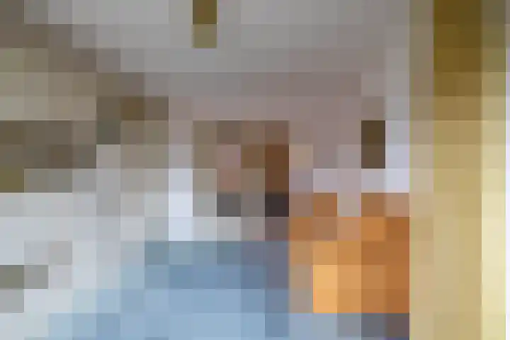 Nesciolaan 123 Haren Gn thumbnail 27