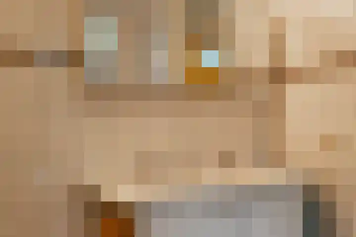 Nesciolaan 123 Haren Gn thumbnail 34