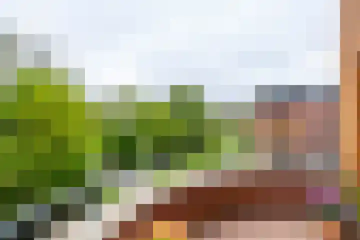 Nesciolaan 123 Haren Gn thumbnail 38