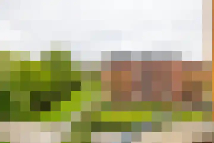 Nesciolaan 123 Haren Gn thumbnail 39