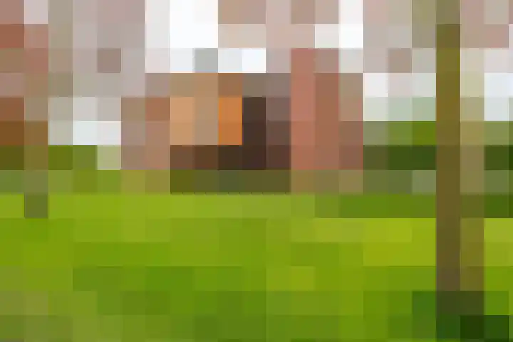 Nesciolaan 123 Haren Gn thumbnail 46