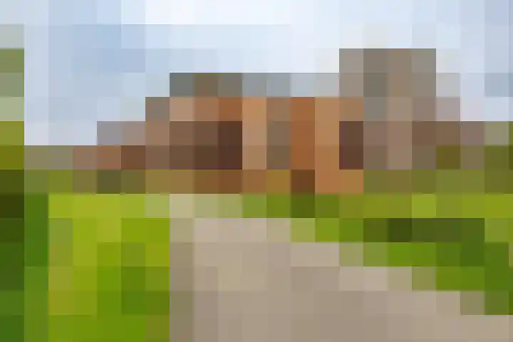 Nesciolaan 123 Haren Gn thumbnail 52