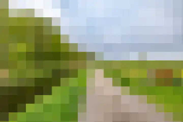 Nesciolaan 123 Haren Gn thumbnail 53