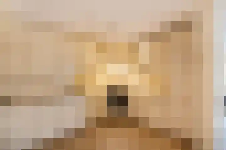 Nesciolaan 133 Haren Gn thumbnail 4