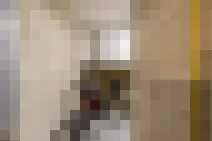 Nesciolaan 133 Haren Gn thumbnail 43