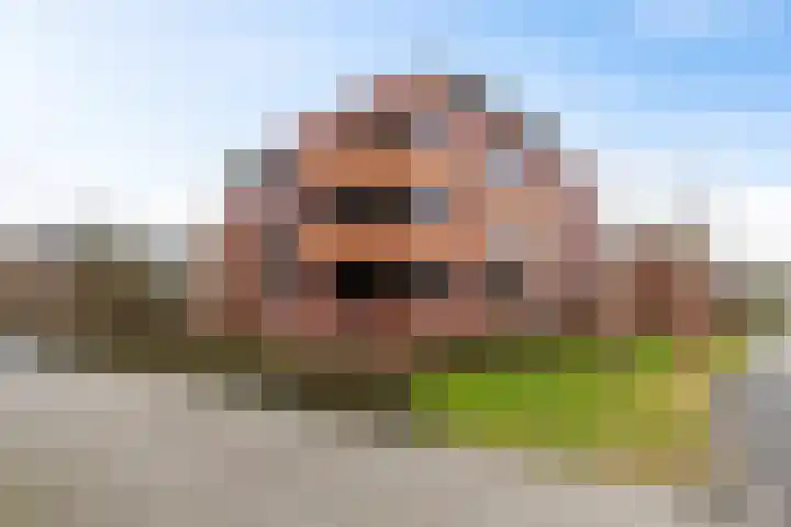 Nesciolaan 133 Haren Gn thumbnail 6