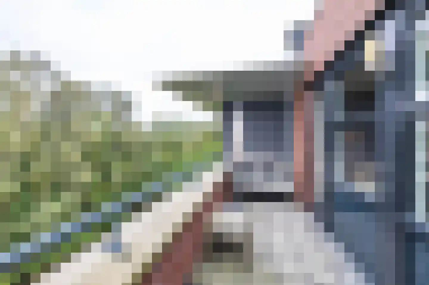 Nesciolaan 135 Haren Gn thumbnail 19