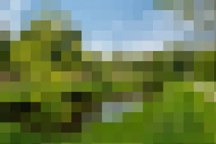 Nesciolaan 137 Haren Gn thumbnail 11