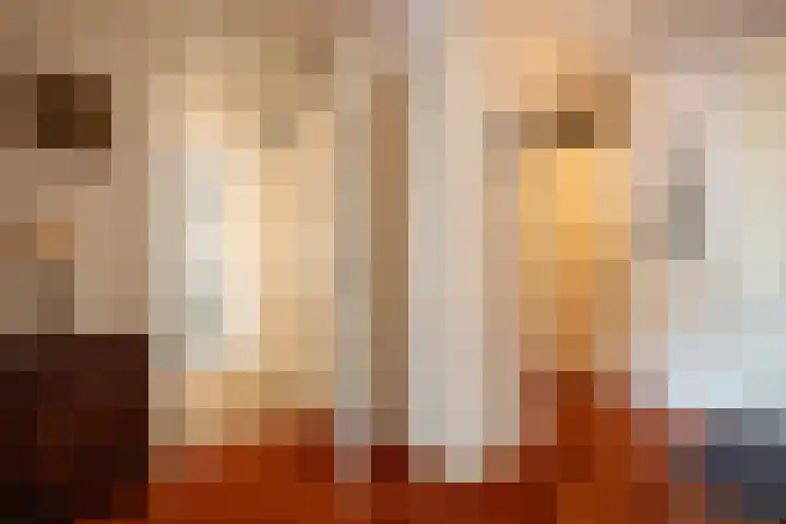 Nesciolaan 137 Haren Gn thumbnail 33