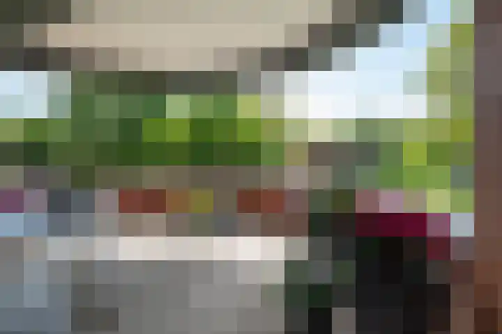 Nesciolaan 137 Haren Gn thumbnail 42