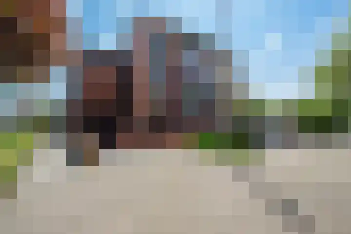 Nesciolaan 137 Haren Gn thumbnail 6