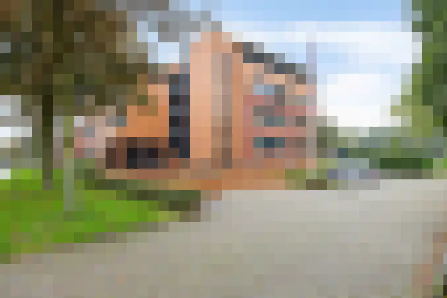 Nesciolaan 139 Haren Gn thumbnail 61