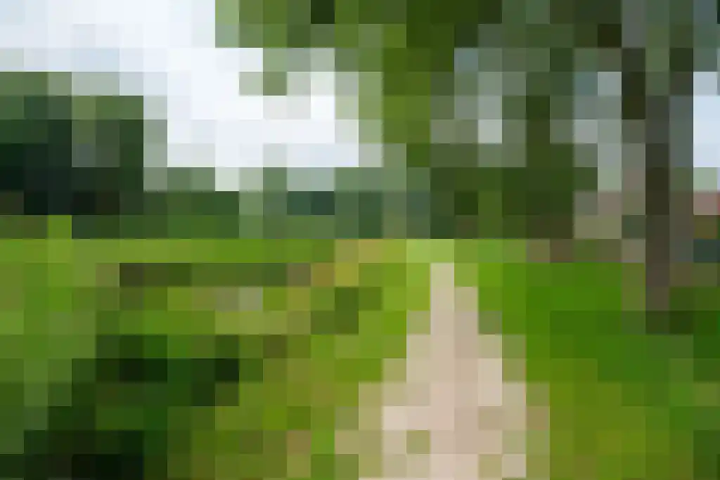 Nesciolaan 146 A Haren Gn thumbnail 13