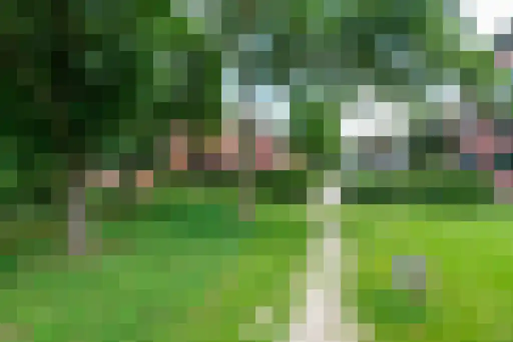 Nesciolaan 146 A Haren Gn thumbnail 14