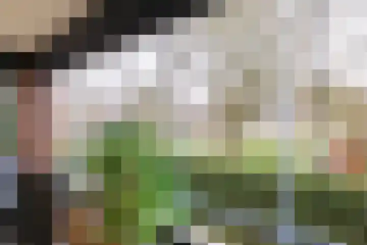 Nesciolaan 146 Haren Gn thumbnail 19