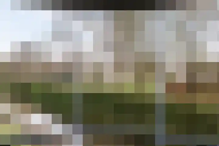 Nesciolaan 146 Haren Gn thumbnail 21
