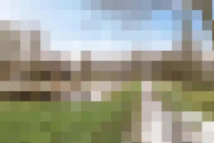 Nesciolaan 146 Haren Gn thumbnail 22