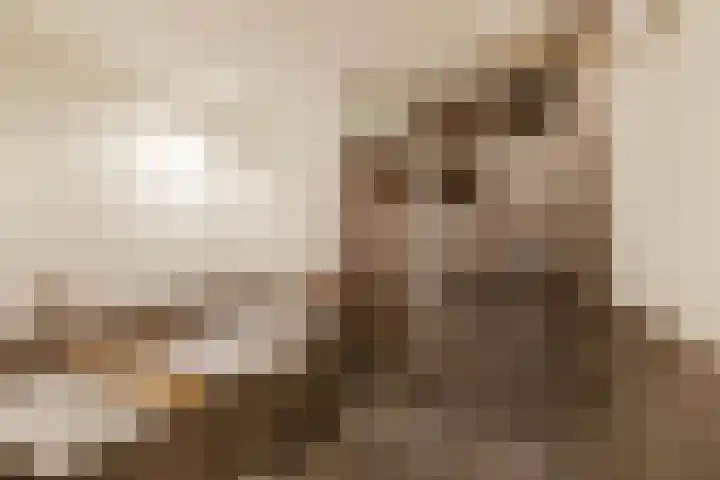Nesciolaan 146 Haren Gn thumbnail 28