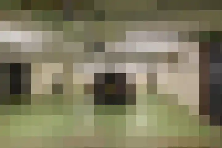 Nesciolaan 146 Haren Gn thumbnail 32