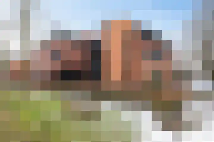 Nesciolaan 146 Haren Gn thumbnail 33