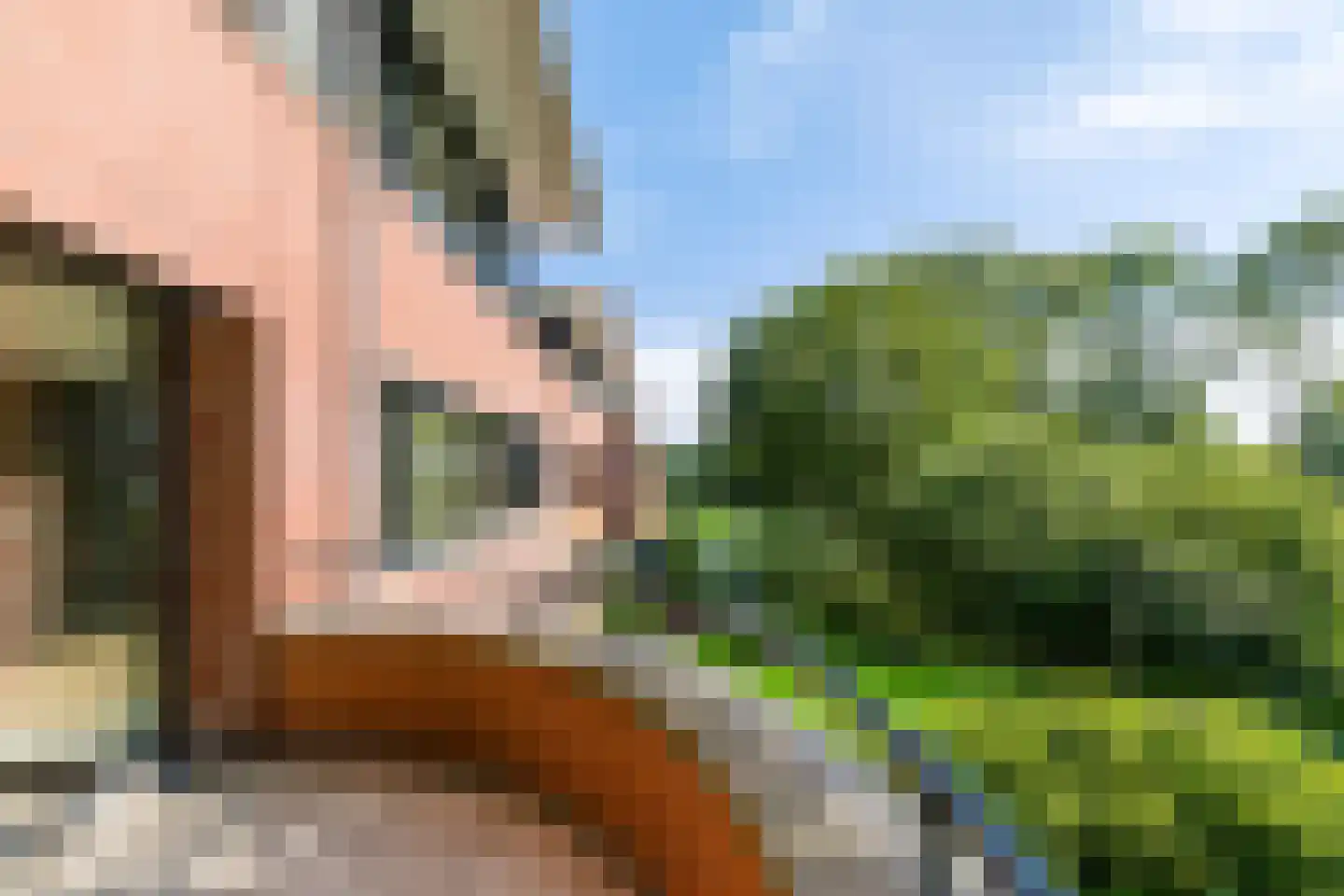 Nesciolaan 150 Haren Gn thumbnail 22