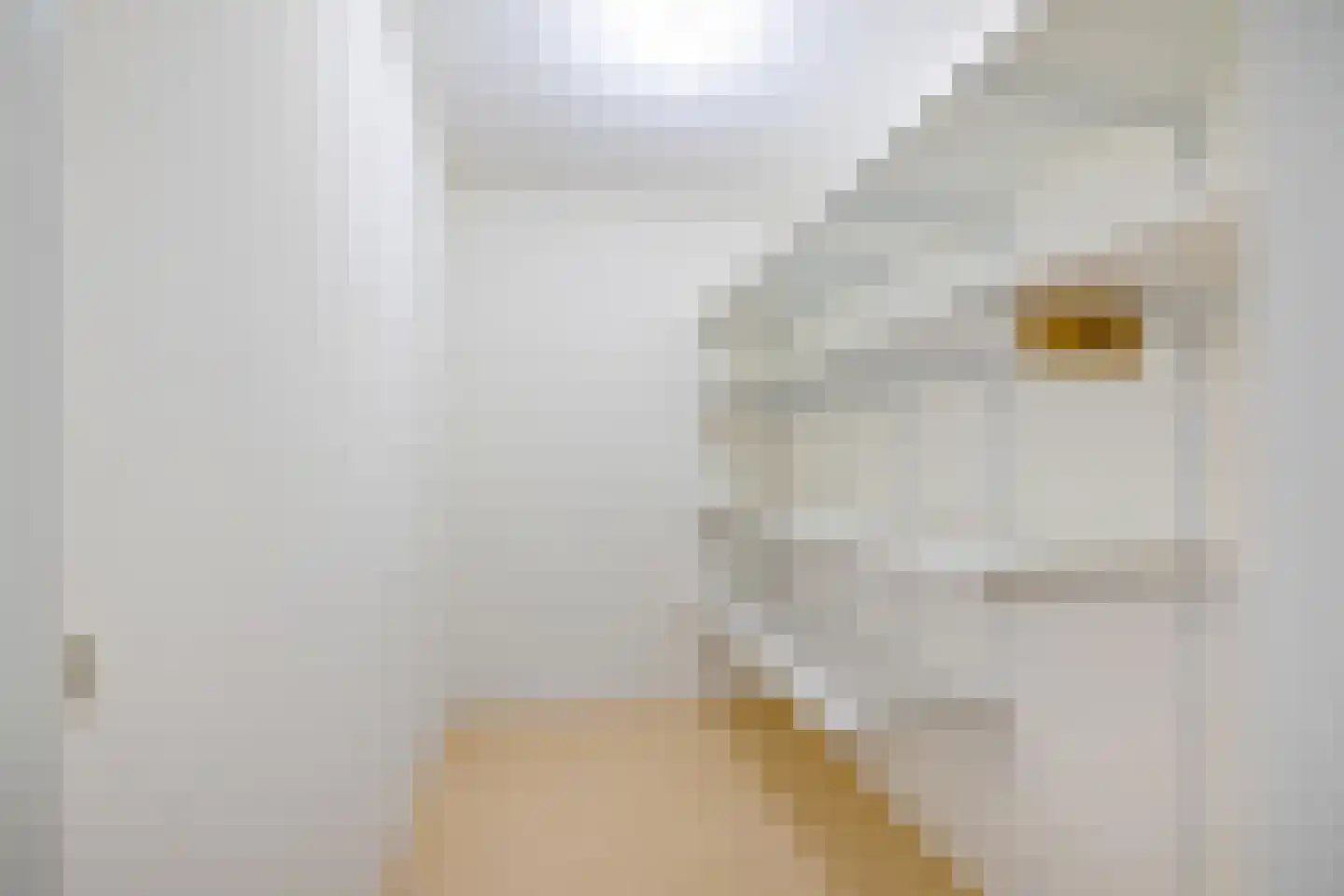 Nesciolaan 150 Haren Gn thumbnail 33