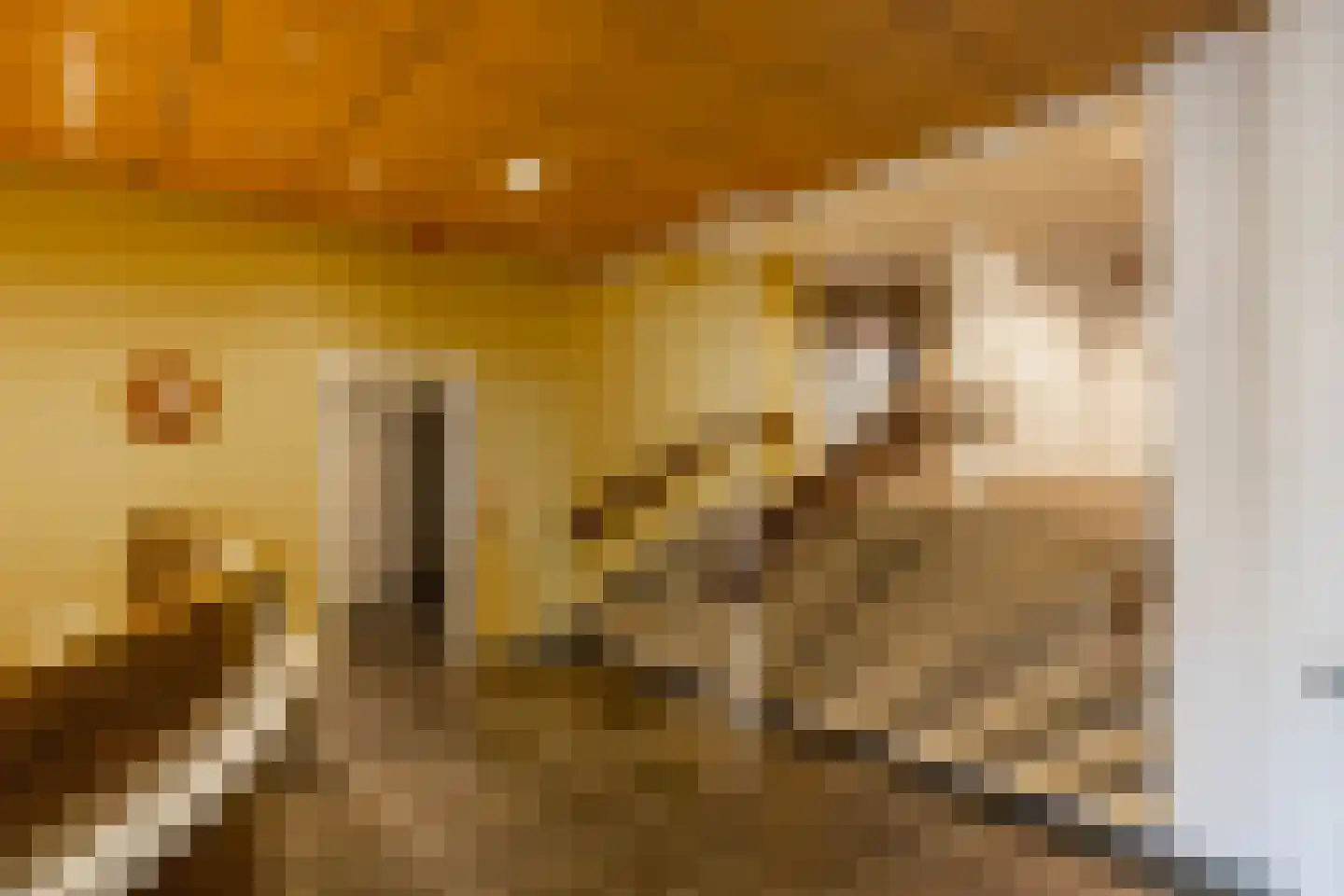 Nesciolaan 20 Haren Gn thumbnail 19