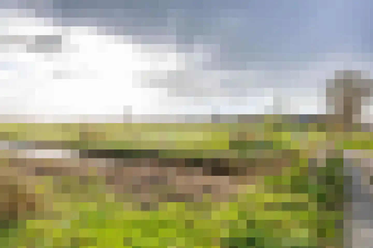 Nesciolaan 20 Haren Gn thumbnail 26