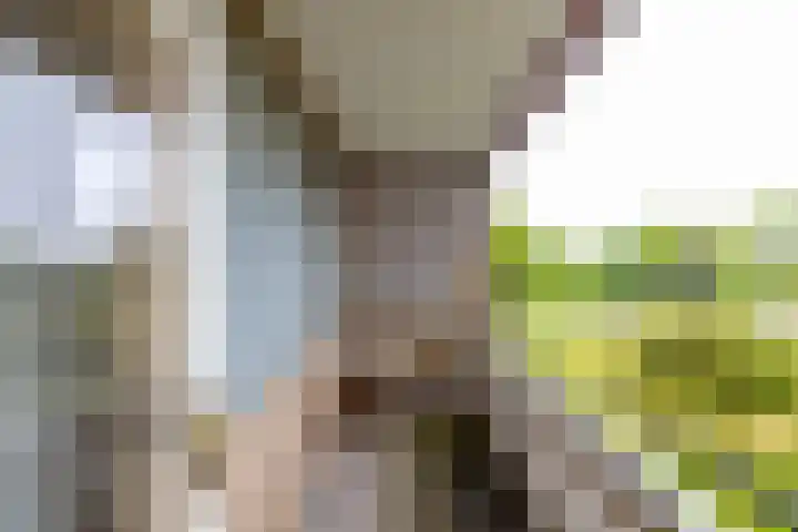 Nesciolaan 28 Haren Gn thumbnail 21
