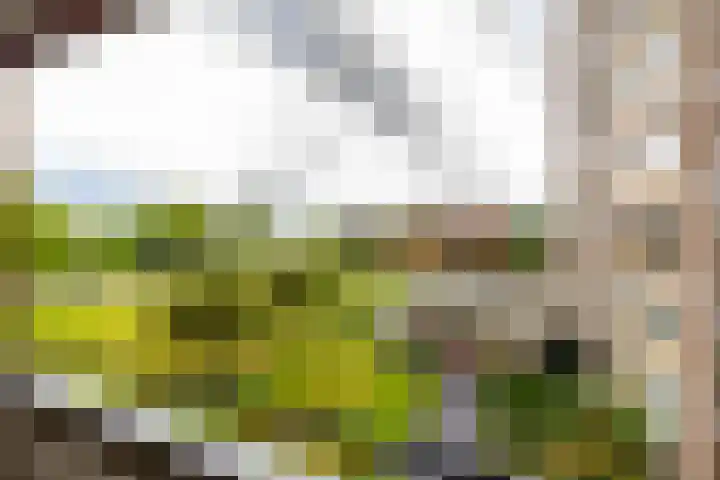 Nesciolaan 28 Haren Gn thumbnail 22