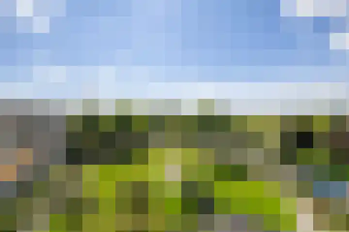Nesciolaan 48 Haren Gn thumbnail 27