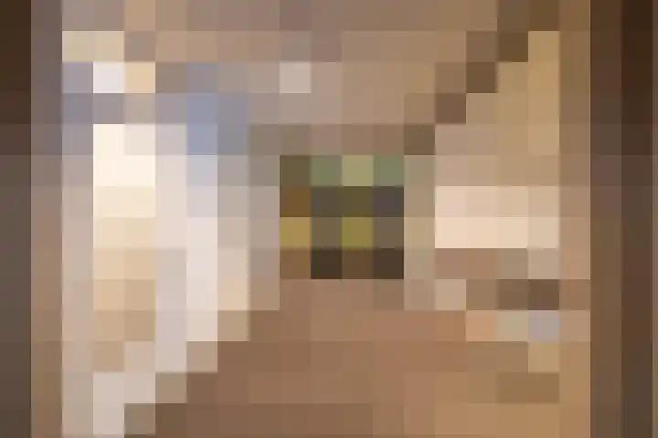 Nesciolaan 48 Haren Gn thumbnail 29