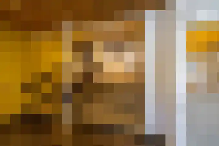 Nesciolaan 48 Haren Gn thumbnail 30