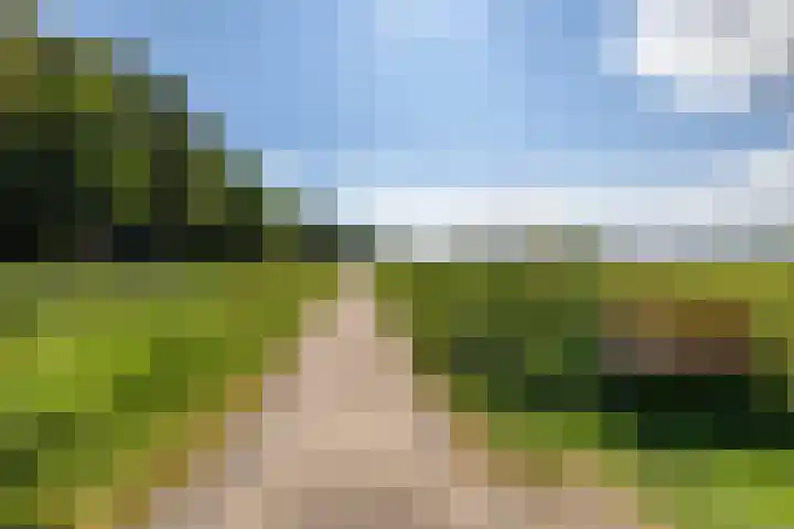 Nesciolaan 48 Haren Gn thumbnail 37