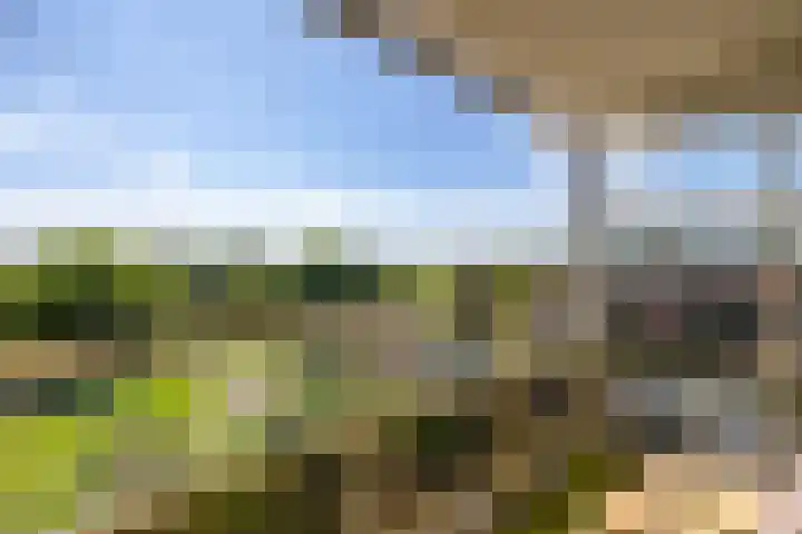 Nesciolaan 48 Haren Gn thumbnail 4