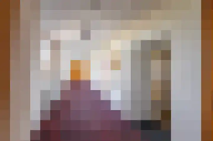 Nesciolaan 48 Haren Gn thumbnail 8