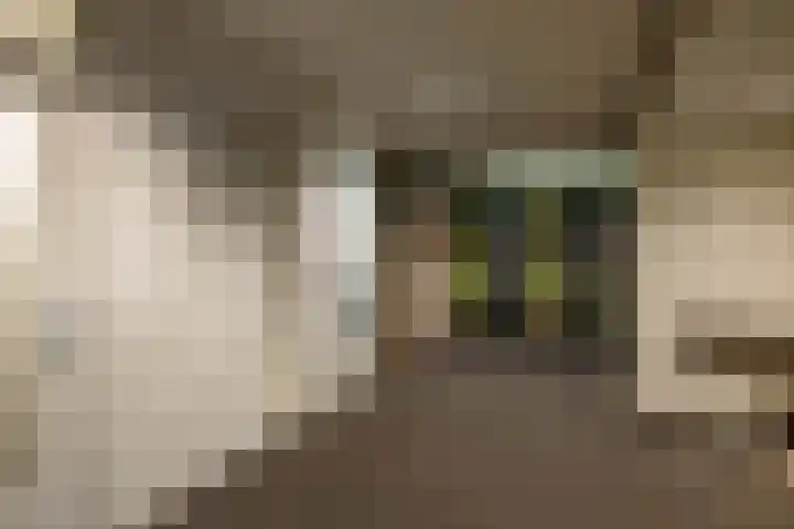 Nesciolaan 59 Haren Gn thumbnail 12