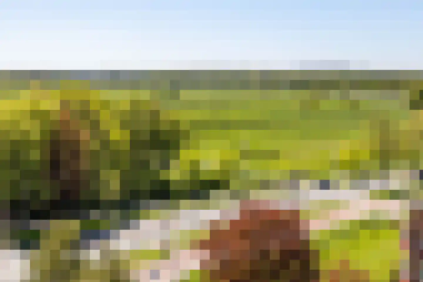 Nesciolaan 63 Haren Gn thumbnail 26