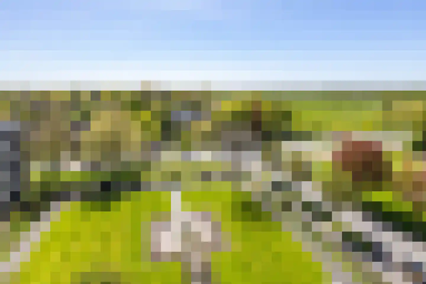 Nesciolaan 63 Haren Gn thumbnail 36