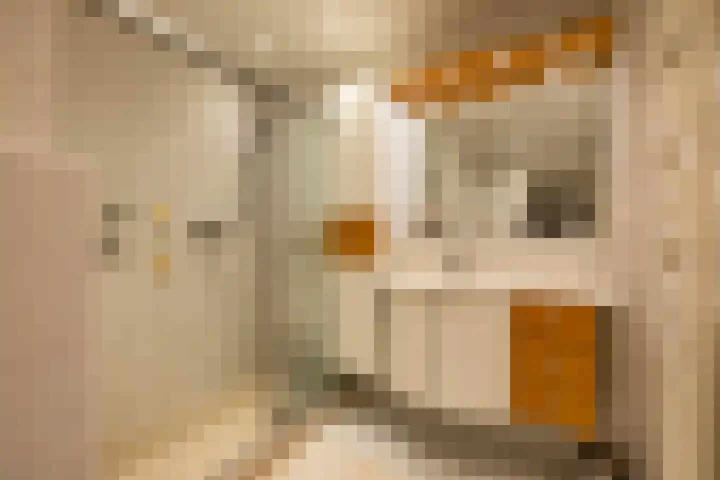Nesciolaan 63 Haren Gn thumbnail 38