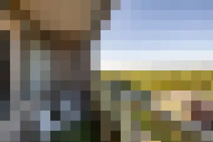 Nesciolaan 77 Haren Gn thumbnail 22