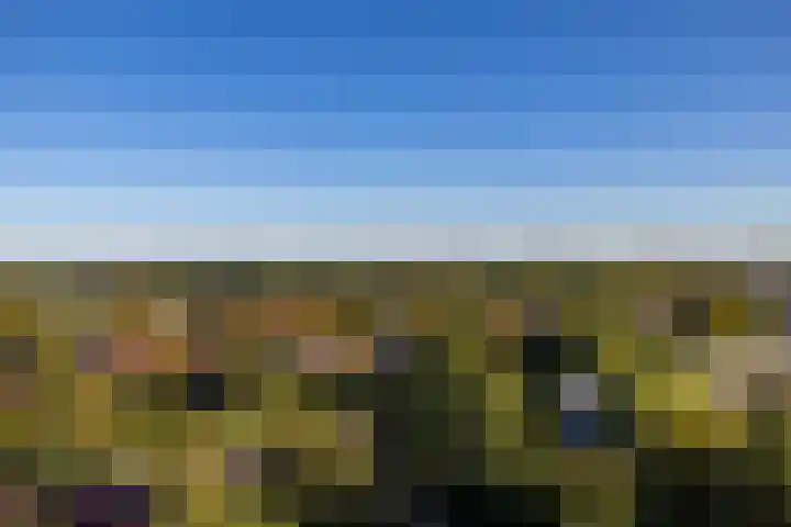Nesciolaan 77 Haren Gn thumbnail 37