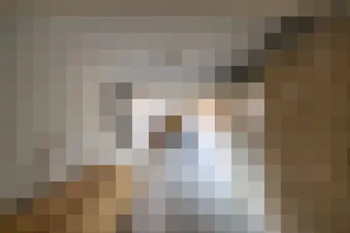 Nesciolaan 77 Haren Gn thumbnail 38