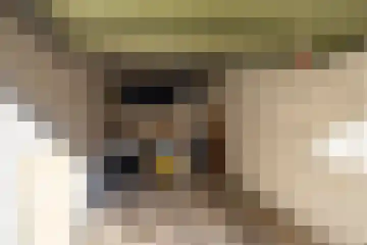 Nesciolaan 77 Haren Gn thumbnail 42