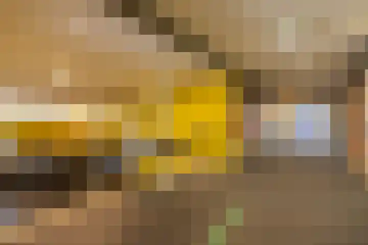 Nesciolaan 77 Haren Gn thumbnail 8